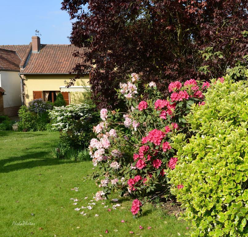 Gite Des Hortillonnages Camon  Exteriör bild