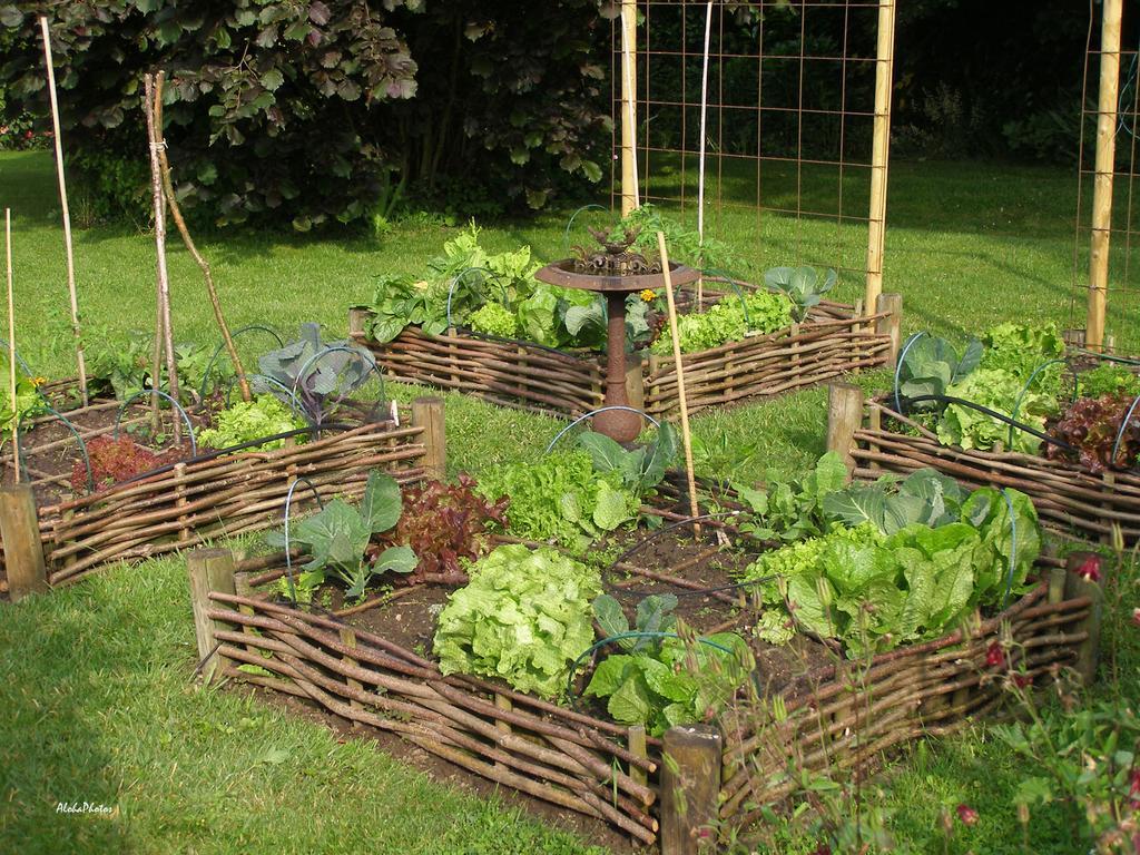 Gite Des Hortillonnages Camon  Exteriör bild